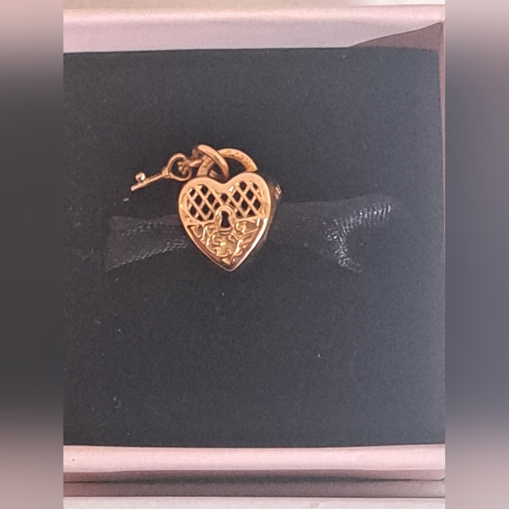 Pandora Rose Heart Lock & Key Charm - Picture 4 of 7